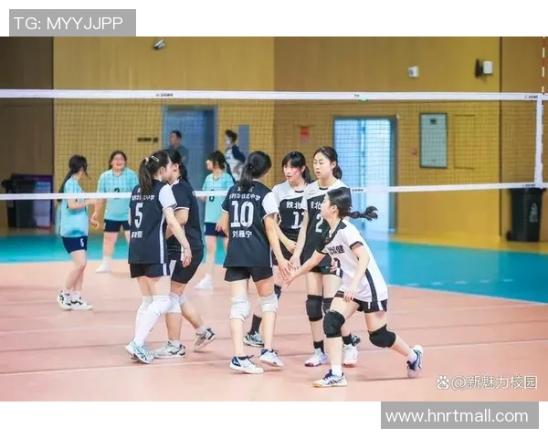 南京排球队比赛经验的革新与热议探讨